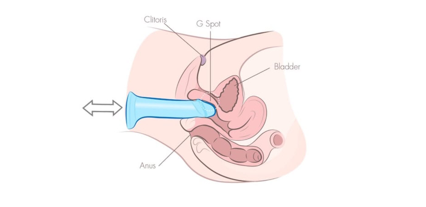 9 <span class='marker'>kỹ thuật</span> <span class='marker'>thiết kế</span> có giá trị 9 <span class='marker'>kỹ thuật</span> <span class='marker'>ngoại hình</span> có giá trị