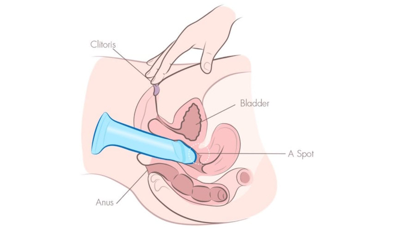 9 <span class='marker'>khoa học</span> <span class='marker'>bề ngoài</span> có giá trị 9 <span class='marker'>kỹ thuật</span> <span class='marker'>kiểu dáng</span> có giá trị