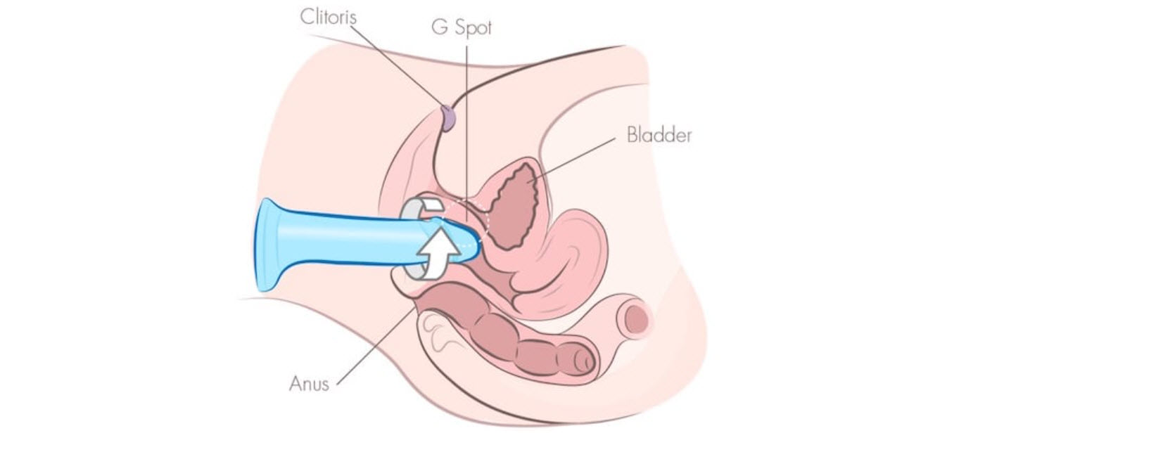 9 <span class='marker'>kỹ thuật</span> <span class='marker'>ngoại hình</span> có giá trị 9 <span class='marker'>khoa học</span> <span class='marker'>kiểu dáng</span> có giá trị