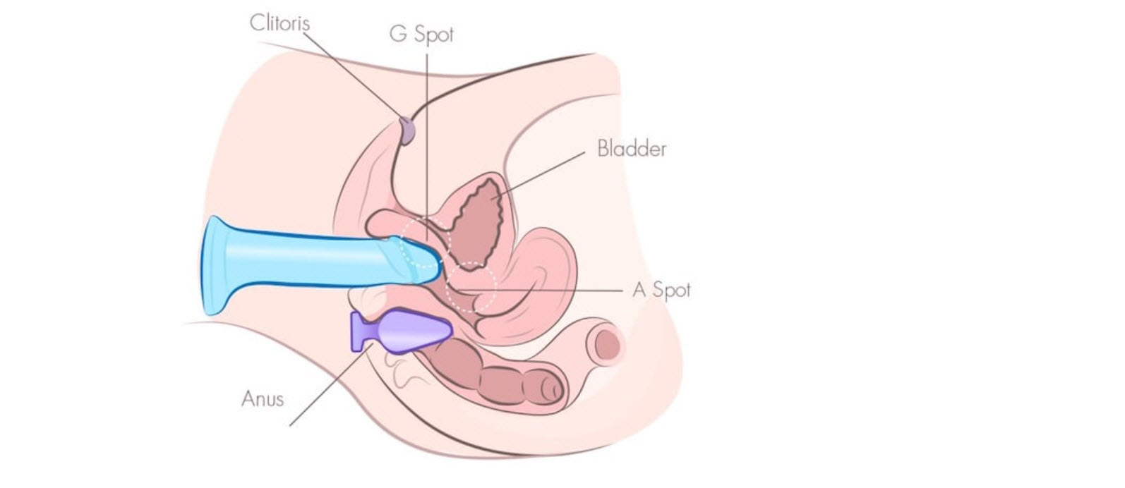 9 <span class='marker'>kỹ thuật</span> <span class='marker'>bề ngoài</span> có giá trị 9 <span class='marker'>kỹ thuật</span> <span class='marker'>ngoại hình</span> có giá trị